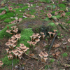 Bild-019.jpg