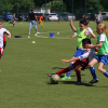IMG_2943.jpg